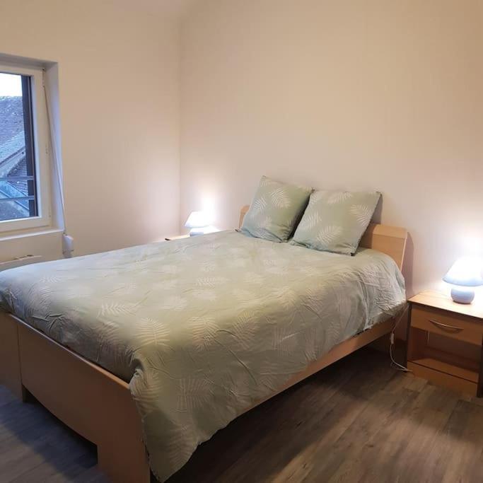 Chez Nino Wifi Gratuit Villa Beaulieu-sur-Loire ภายนอก รูปภาพ