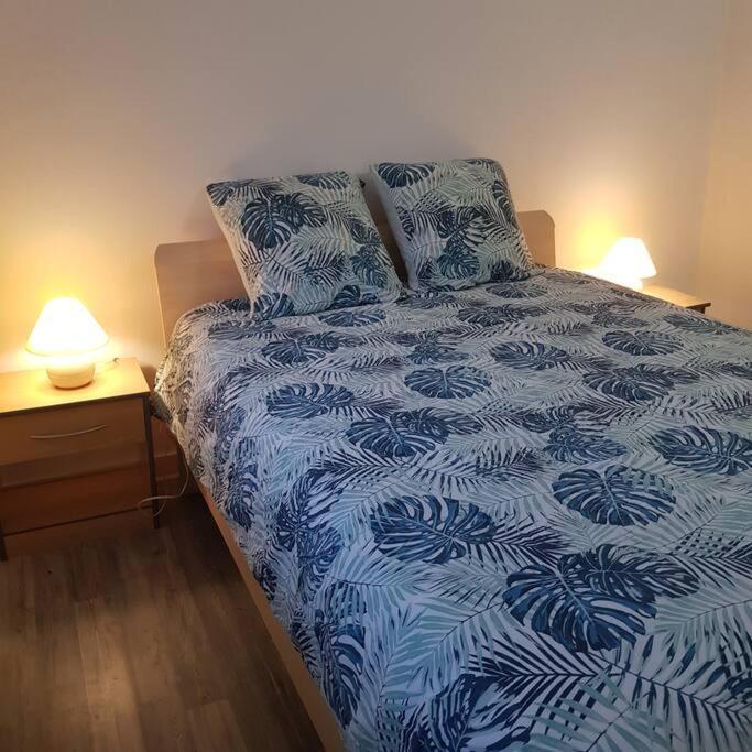 Chez Nino Wifi Gratuit Villa Beaulieu-sur-Loire ภายนอก รูปภาพ